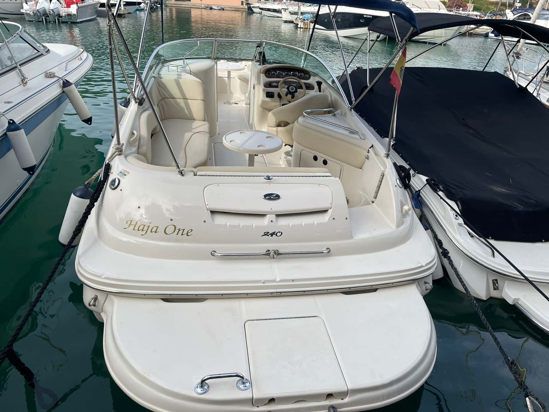 Sea Ray 240 Sundeck - miniatura 5