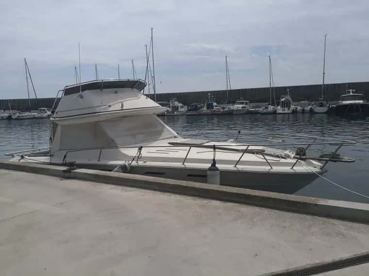 Sea Ray 300 Sedan Bridge