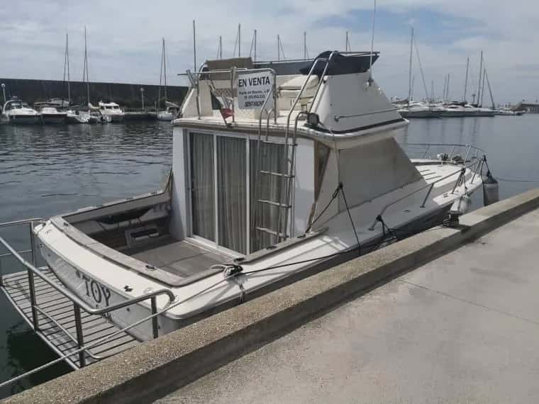 Sea Ray 300 Sedan Bridge - miniatura 2