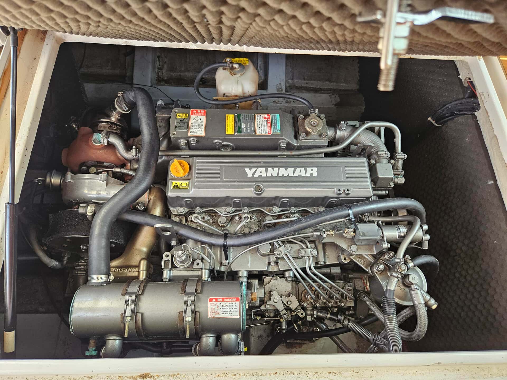 Altair 8 - miniatura 8