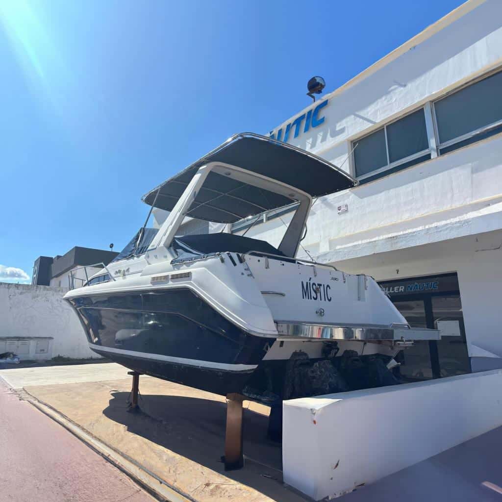 Sea Ray 290 Sundancer