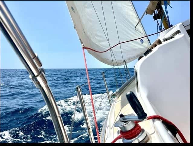 Eden Strat Eden III - miniatura 9