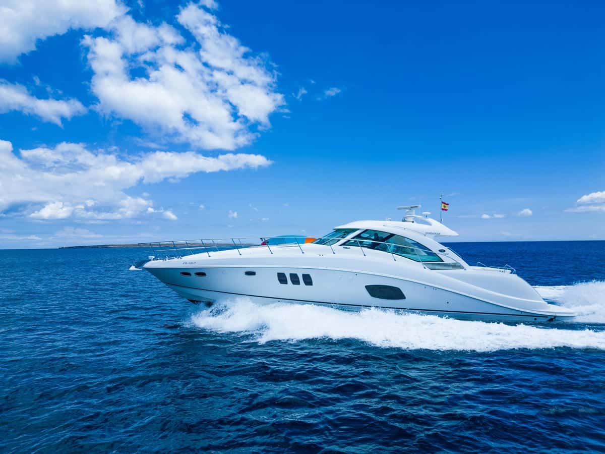 Searay sundancer 55 - miniatura 2