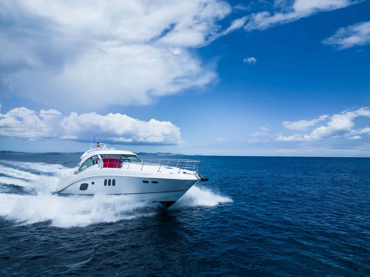 Searay sundancer 55 - miniatura 5