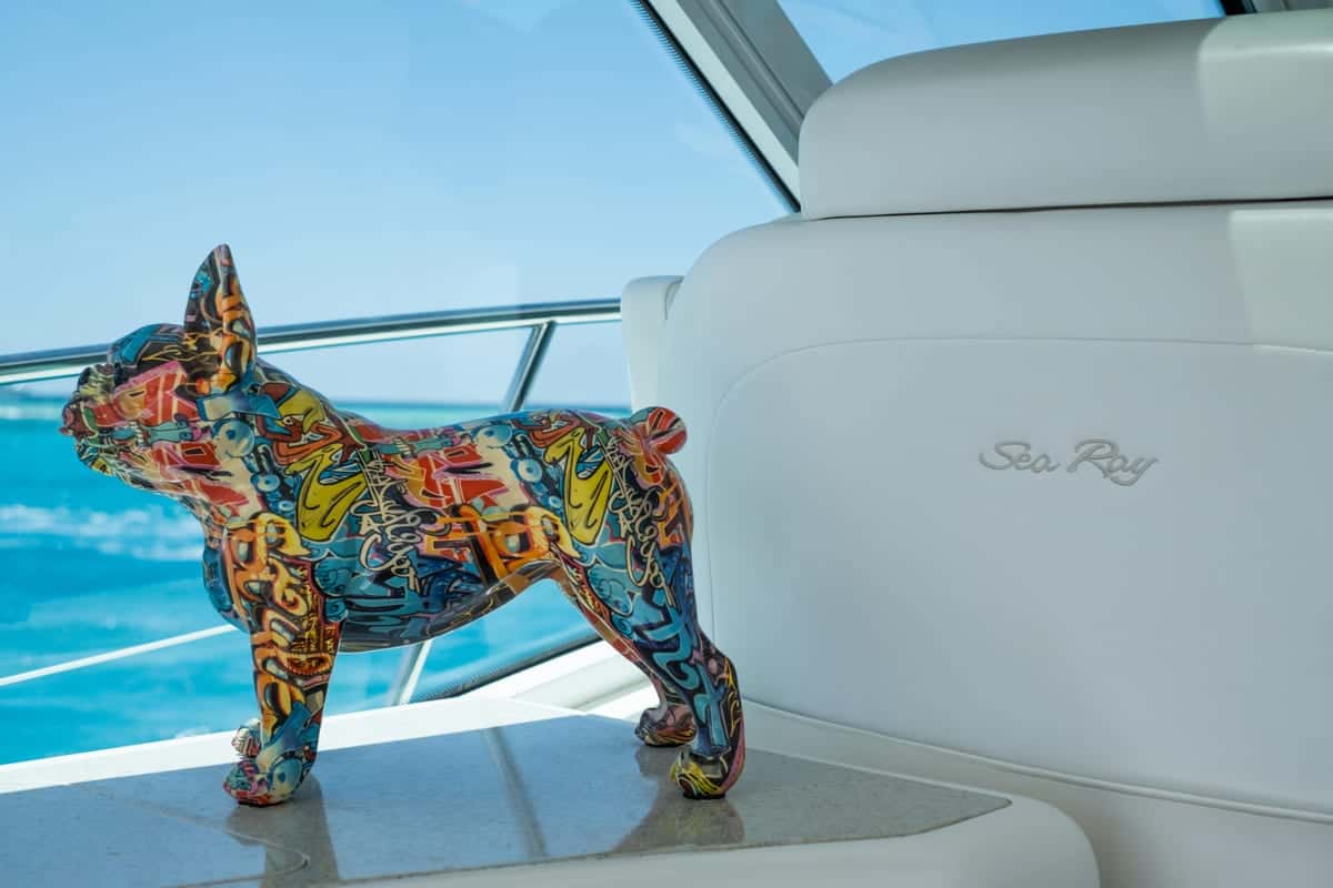 Searay sundancer 55 - miniatura 28