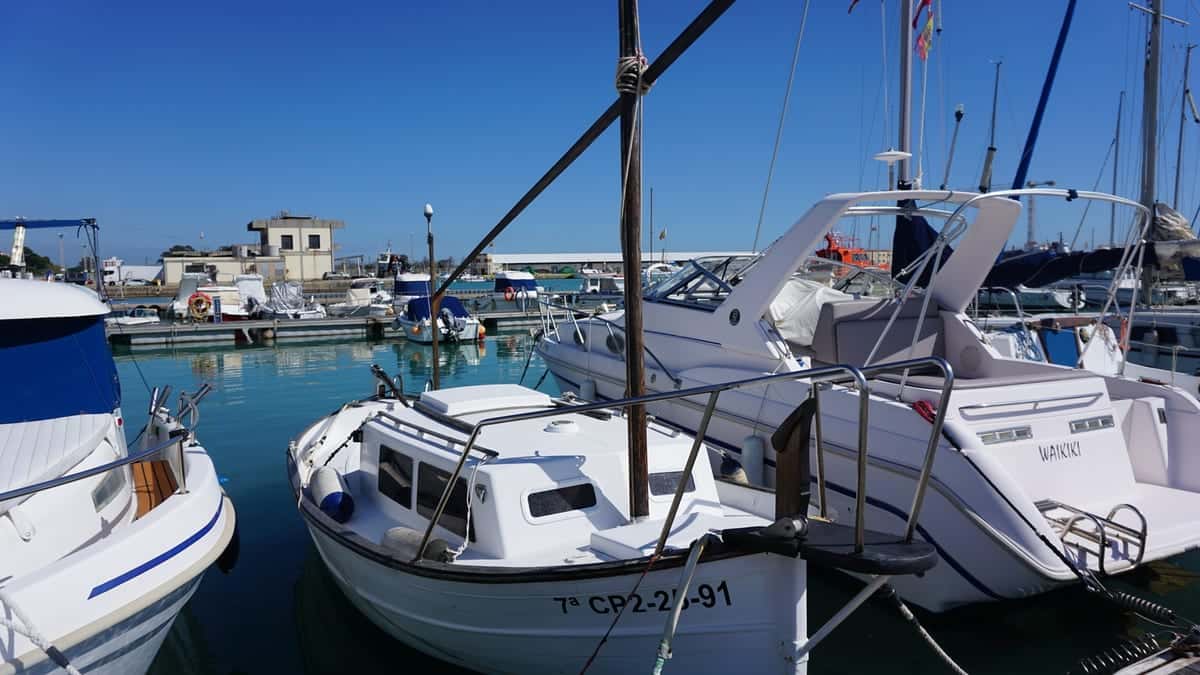 MYABCA 20 - miniatura 3