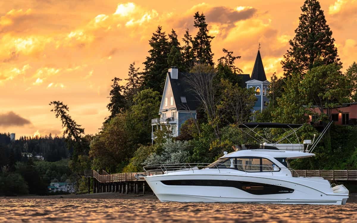 Antares 12 Fly - miniatura 3