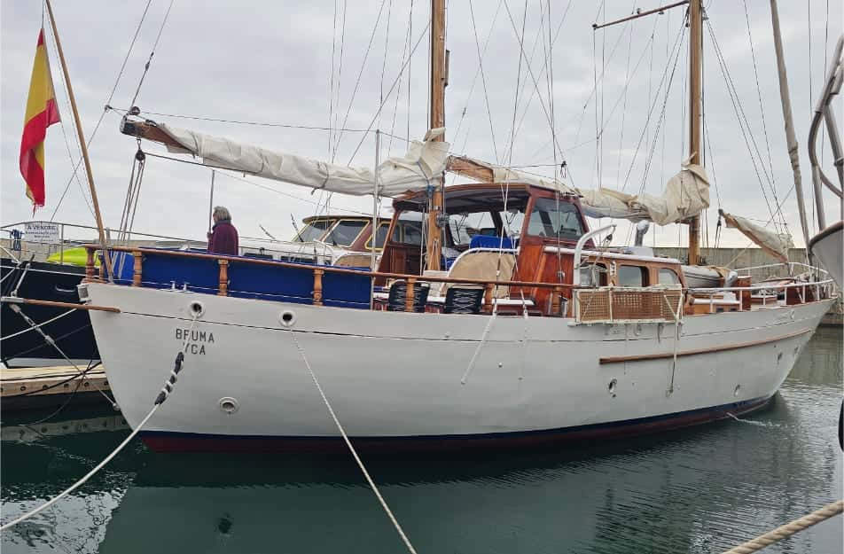 BRUMA YCA - miniatura 2