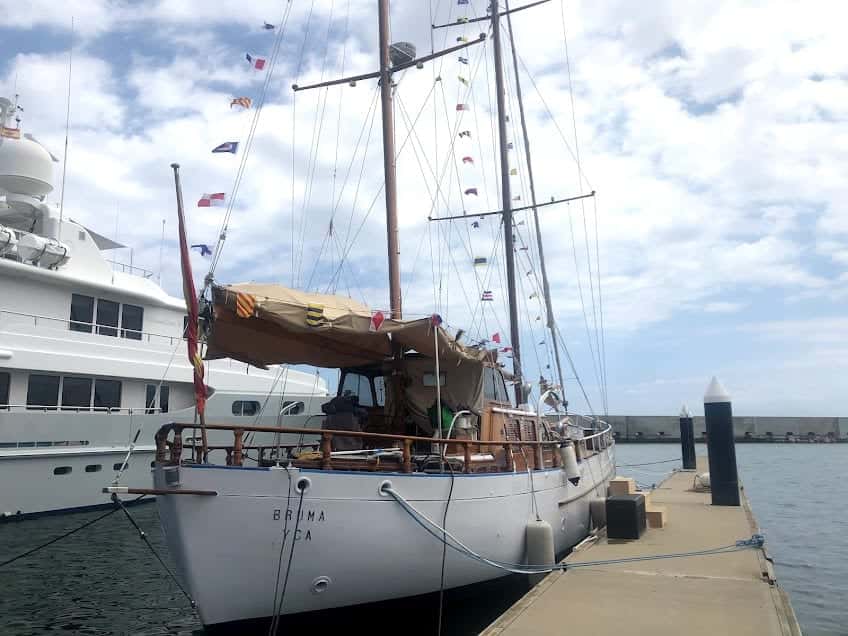 BRUMA YCA - miniatura 6