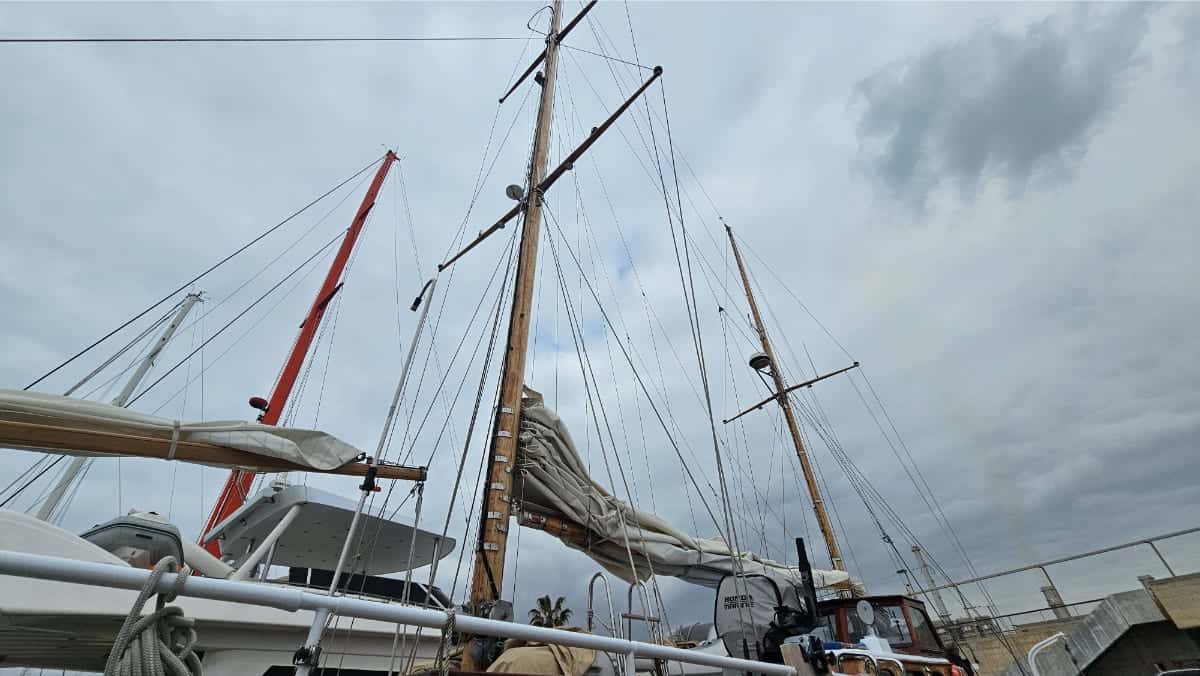 BRUMA YCA - miniatura 9