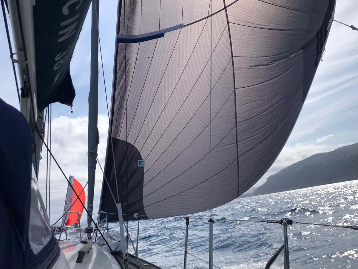 DIVA 38 QUIFFEL - miniatura 10