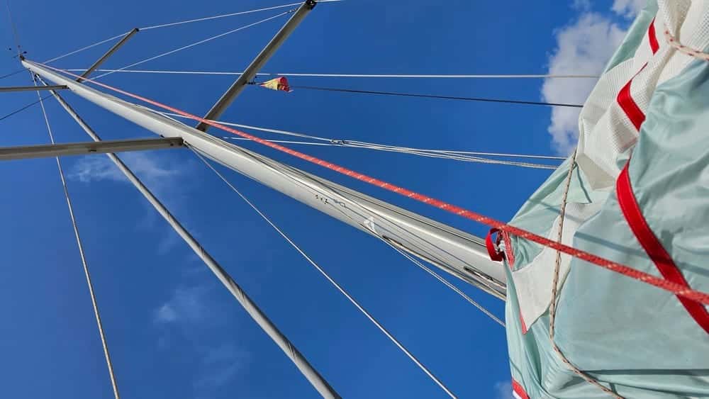 DIVA 38 QUIFFEL - miniatura 19