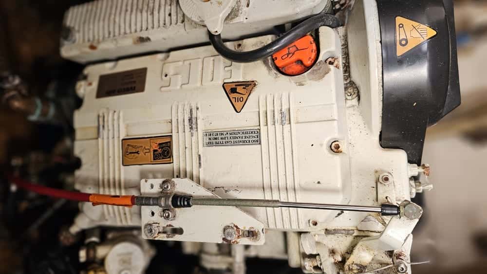 DIVA 38 QUIFFEL - miniatura 33