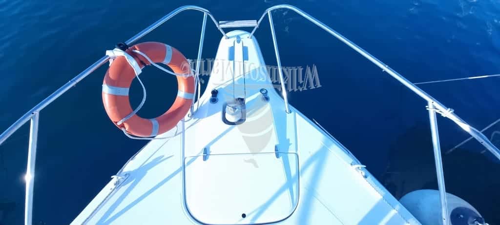 Sealine Sportbridge 36 - miniatura 9