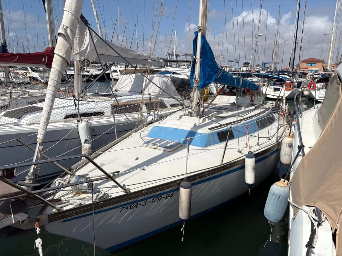 Taylor D-31 - miniatura 2