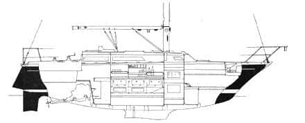 Taylor D-31 - miniatura 11