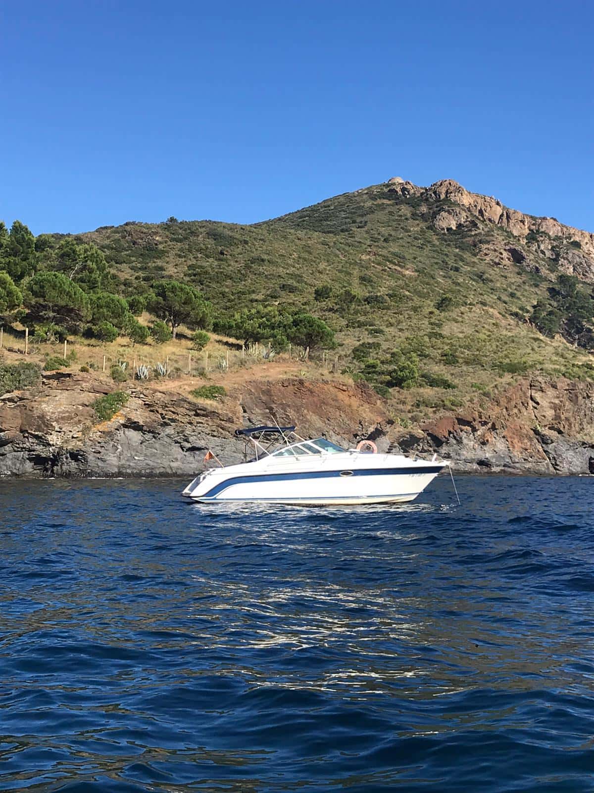 CARVER 2578 ALLEGRA